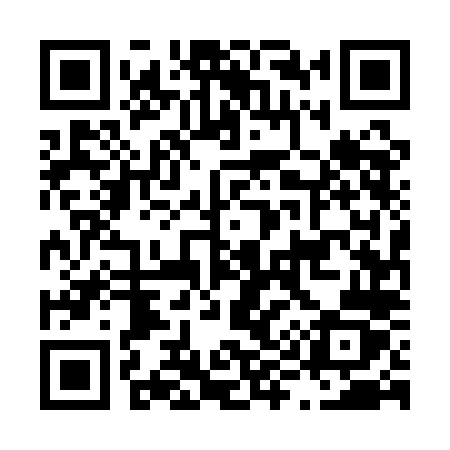 QR code for L951LZ