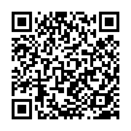 QR code for L9541H