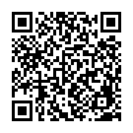 QR code for L995FF