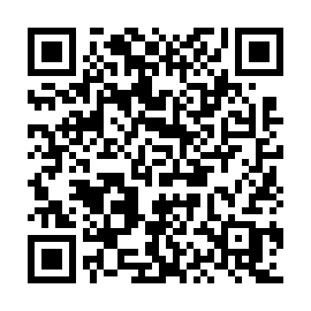 QR code for LAN63B