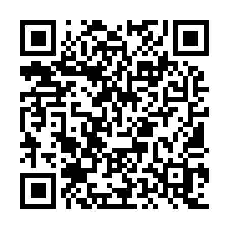 QR code for LEM91H