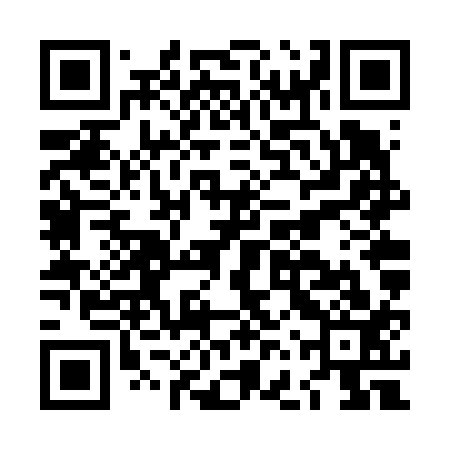 QR code for LFVV13