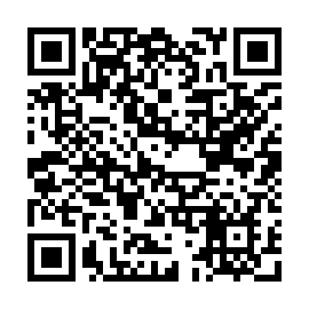 QR code for LG390N