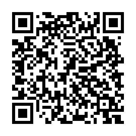 QR code for LG461T