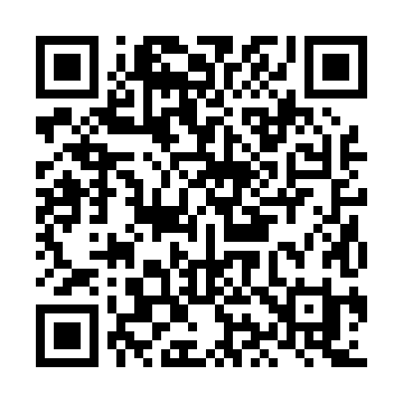 QR code for LI208I