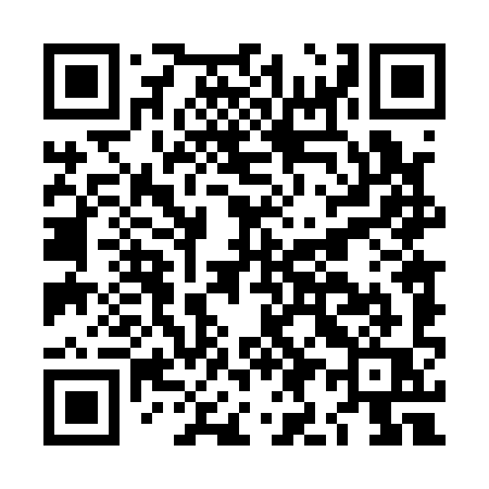 QR code for LI419Q