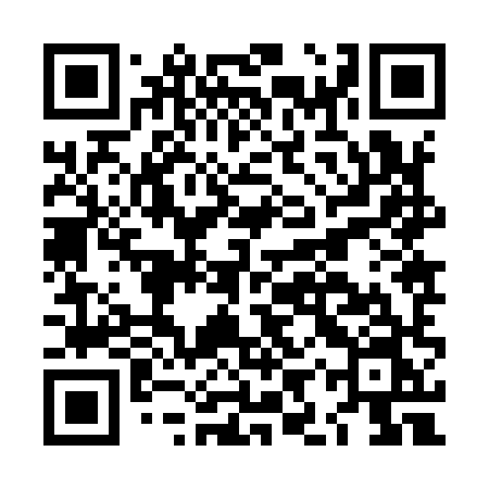 QR code for LIZ98N