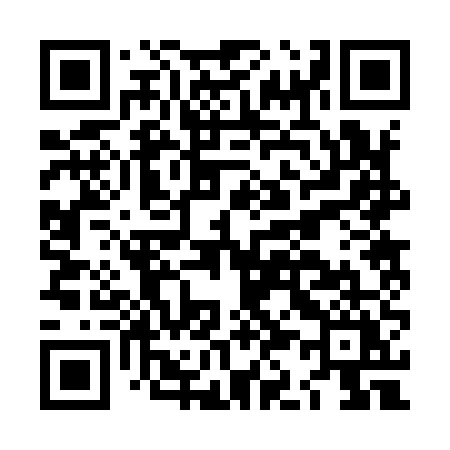QR code for LK295Y