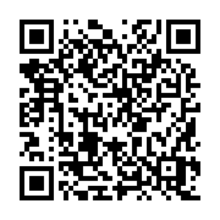 QR code for LL998V
