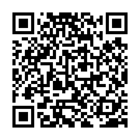 QR code for LMNV29