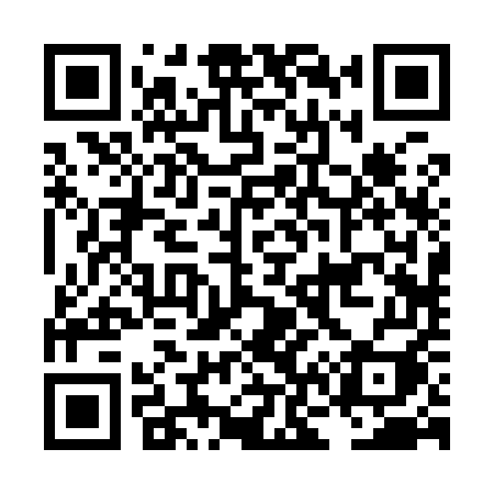 QR code for LN295I