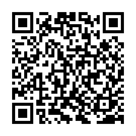 QR code for LNG11S