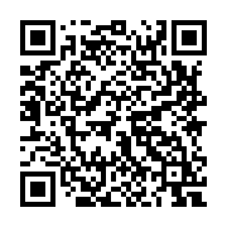 QR code for LO991Z