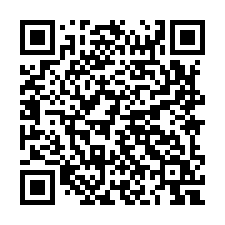 QR code for LO999V