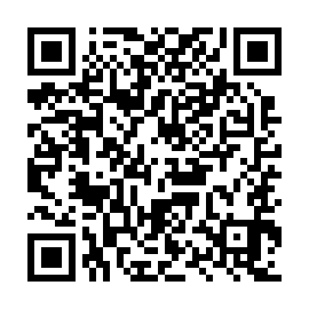 QR code for LQIR91
