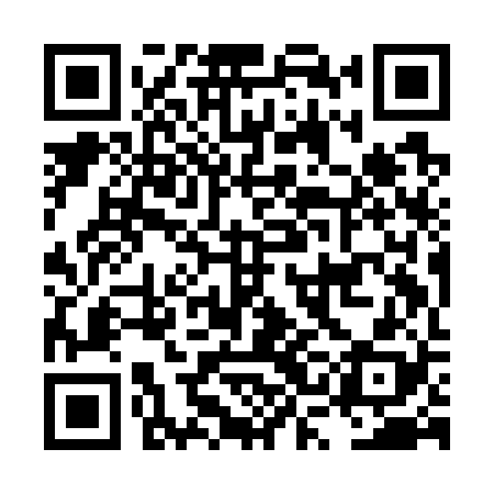 QR code for LSIG28