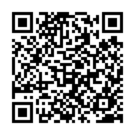 QR code for LSV61N