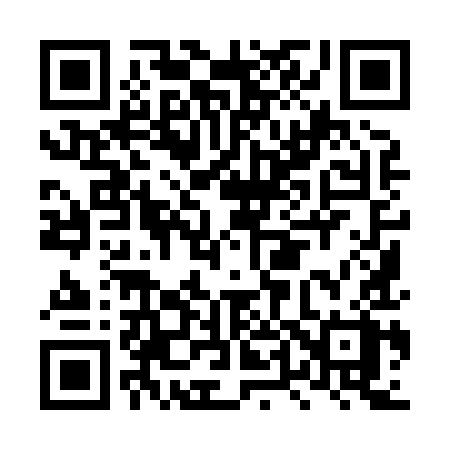 QR code for LT989X