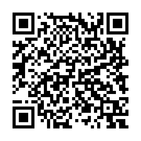 QR code for LU493P