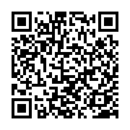 QR code for LUS31Q