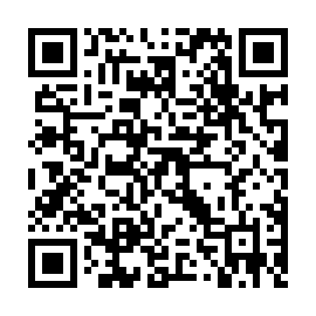 QR code for LV498N