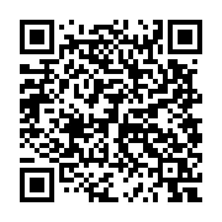 QR code for LV655S
