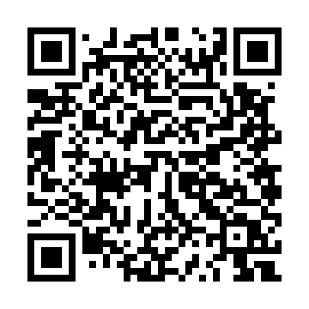 QR code for LV655T