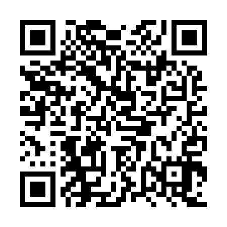 QR code for LVCI17