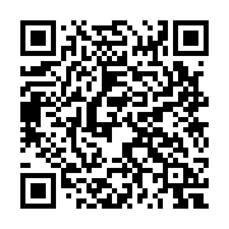 QR code for LX313B