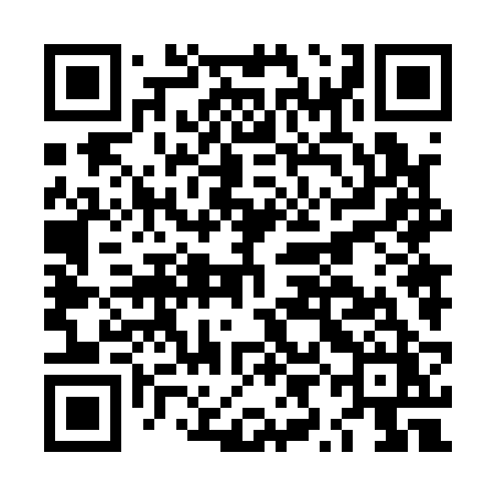 QR code for LYN12Z