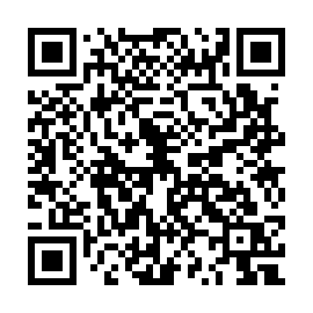 QR code for LZ313S