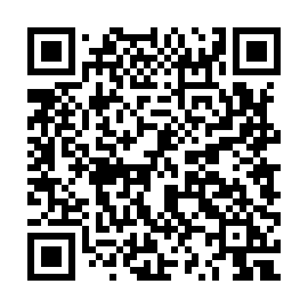 QR code for LZ490I