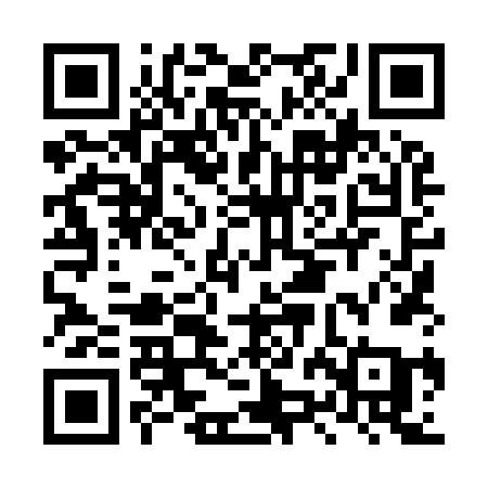 QR code for LZL96A