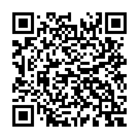 QR code for M335SK
