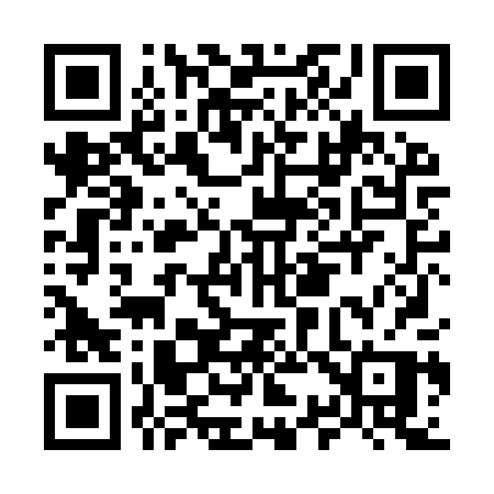QR code for M38IPP