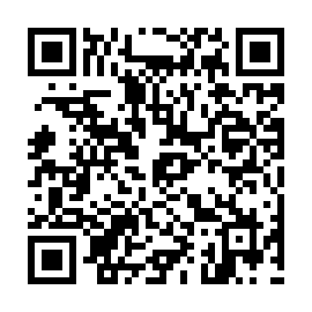 QR code for M919VZ