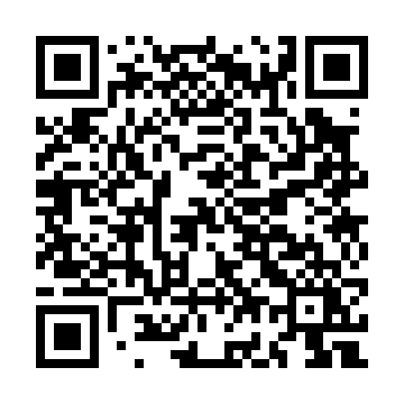 QR code for MG306Y