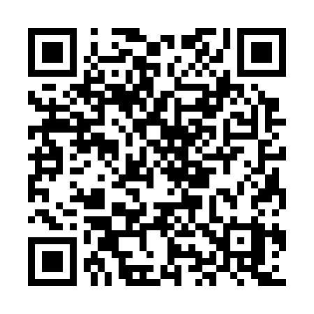 QR code for MI333Y