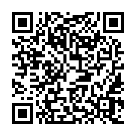 QR code for MIO95V