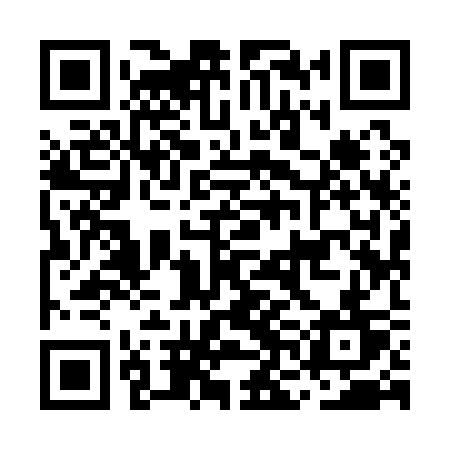 QR code for MNI13T