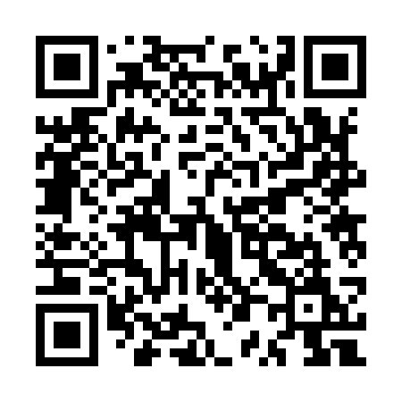 QR code for MP293M
