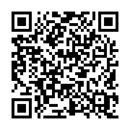 QR code for MP919E
