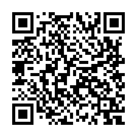 QR code for MSW91Q