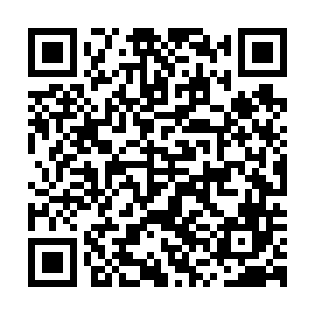 QR code for MVLF46
