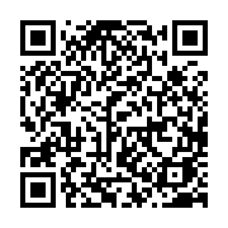 QR code for N0095A