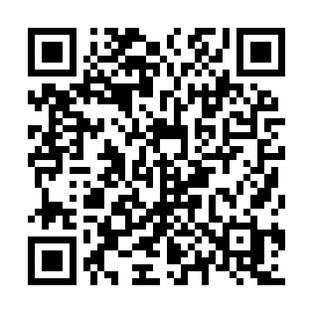 QR code for N009VH
