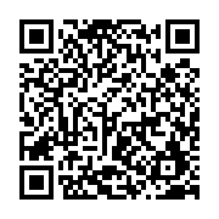 QR code for N0153F