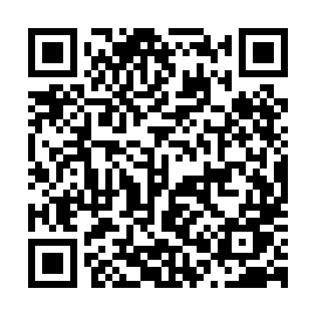 QR code for N01PLU