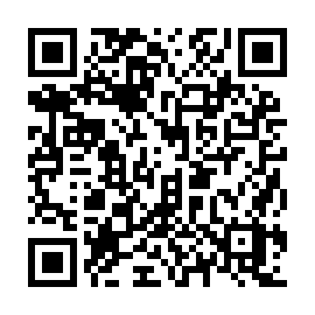 QR code for N029GX