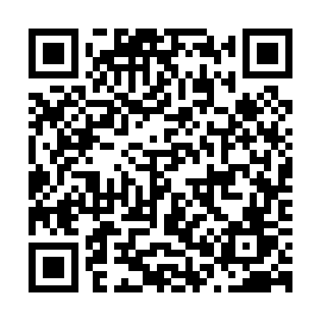 QR code for N0307V